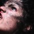 FrightFest Day Four – Short Film Showcase Two, Wolfkin, H4Z4RD, Torn Hearts and The Price We Pay