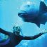 Blueback – Watch the trailer for the new Australian drama starring Mia Wasikowska, Radha Mitchell and Eric Bana
