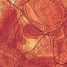 Cool Art: Predator and Predator 2 by Laurie Greasley