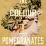 Armenian Culture on the Silver Screen: From “The Color of Pomegranates” to the Impact on Global Cinema