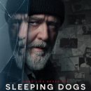 Russell Crowe and Karen Gillan try to solve a murder in the Sleeping Dogs trailer
