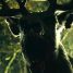 Bambi: The Reckoning – Oh Deer! Watch the trailer for the new horror movie