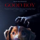 Good Boy – The horror film told from a dog’s perspective gets a new poster