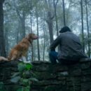 Review: Good Boy – “The dog deserves a better movie.”