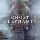 Ghost Elephants – Watch the trailer for the new documentary from Werner Herzog