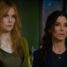 Nicole Kidman and Sandra Bullock return in the trailer for Practical Magic 2
