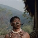 TIFF 2026 Review: Angh