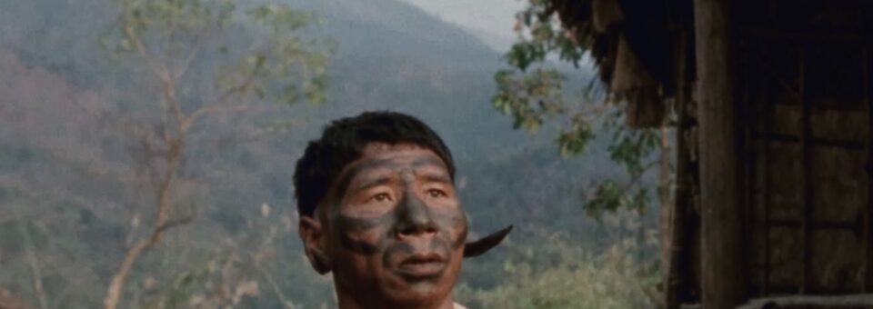 TIFF 2026 Review: Angh