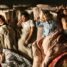 TIFF 2026 Review: Up Against It – “There was so much potential here.”